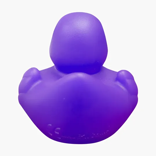 Lil' Rubber Duck — view 16