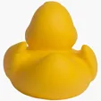 Lil' Rubber Duck — view 17