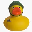 Military Duck — view 2