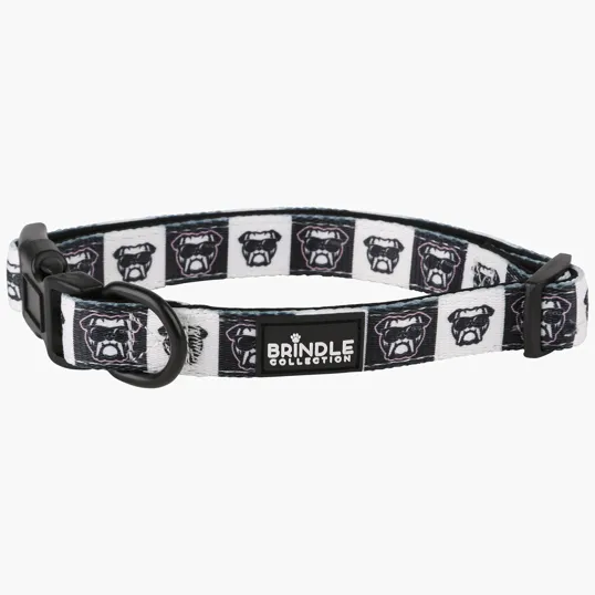 Dog Collar With Neoprene Backing, Large