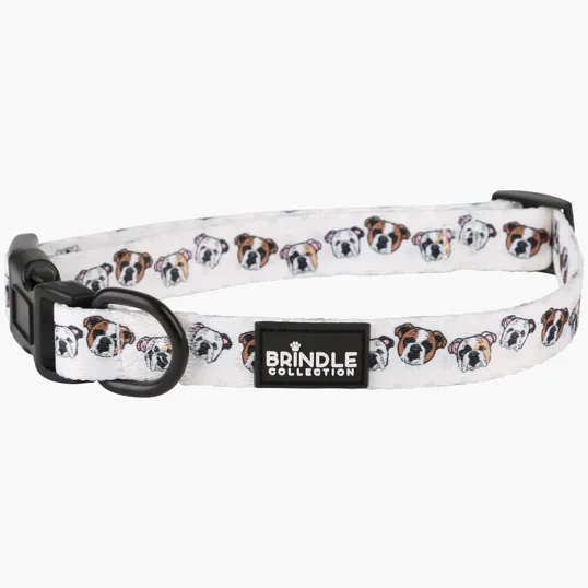 Medium Polyester Dog Collar with Dye Sublimation