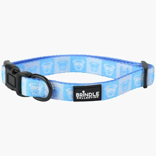 Dog Collar With Neoprene Backing, Medium