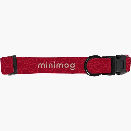 Extra Small Dog Collar with Dye Sublimation