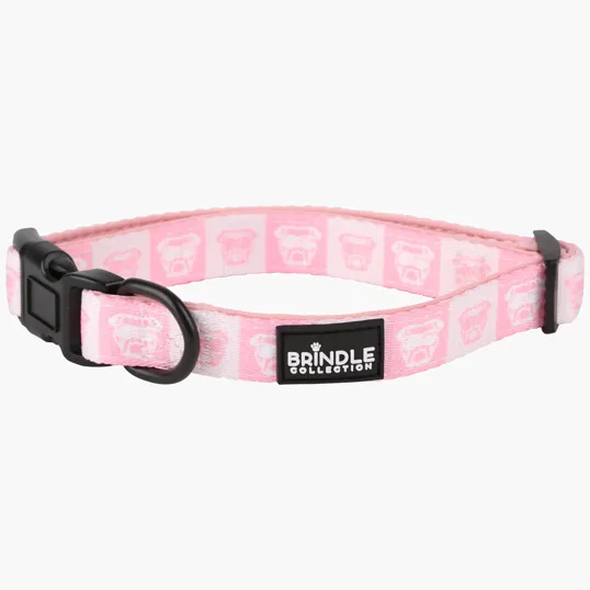 Dog Collar With Neoprene Backing, Extra Small