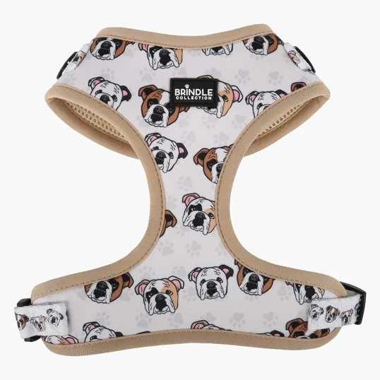 Medium Neoprene Dog Harness