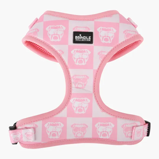 Neoprene Dog Harness, X-Small