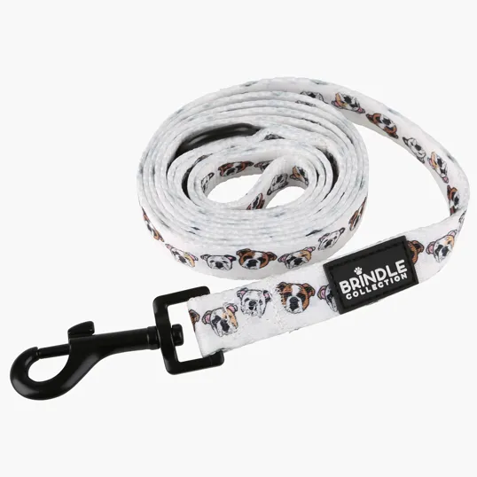 Wide Dog Leash with Swivel Snap Hook