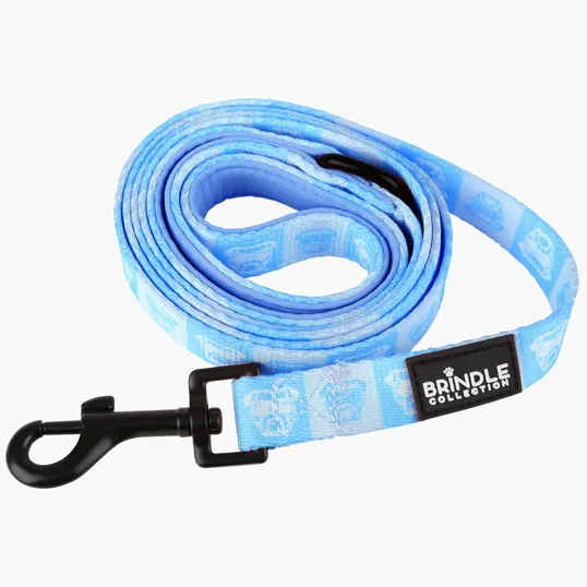 Wide Dog Leash with Neoprene Backing