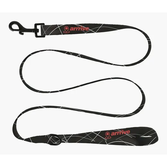 Dog Leash: Regular