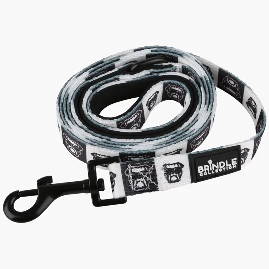 Dog Leash With Neoprene Backing, Regular