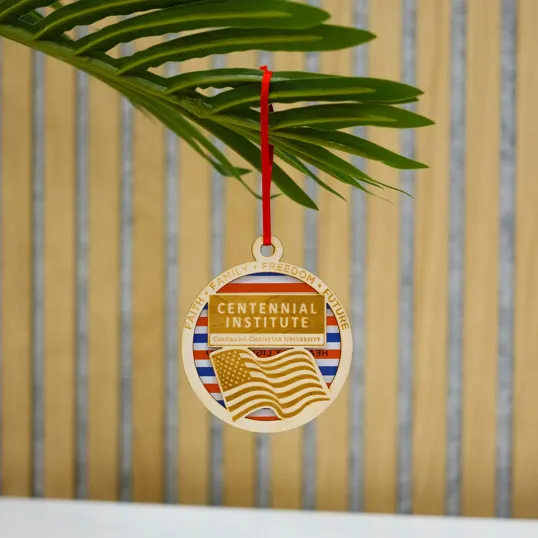 Layered Wood Ornament with Acrylic Front