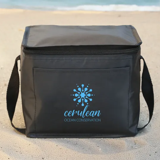 Cooler/Lunch Bag with Recycled Polyester
