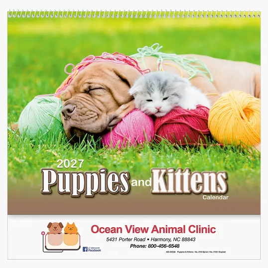 Puppies & Kittens Wall Calendar: 2027 Spiral Bound