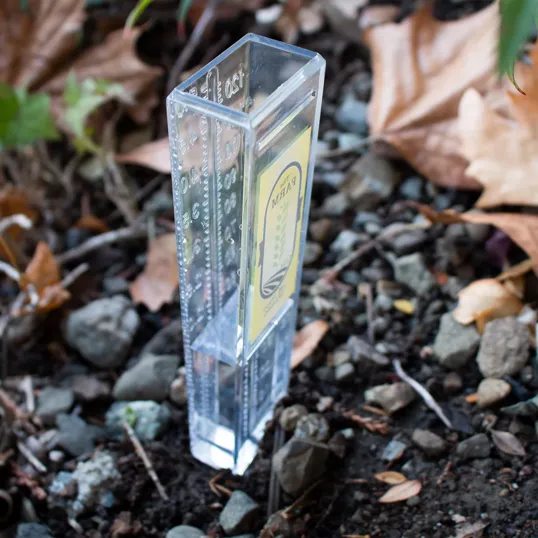 Beacon Drizzler 5" Rain Gauge