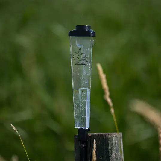 Triangle Rain Gauge with Black Stake