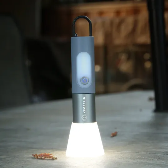Odyssey Point Aluminum Flashlight with Four Light Modes