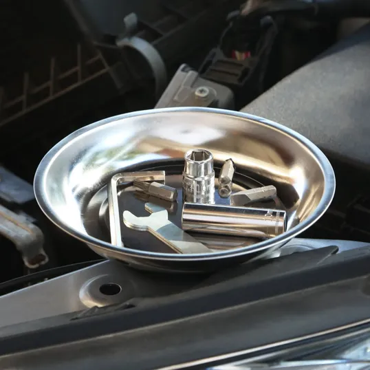 Stainless Steel Magnetic Bowl