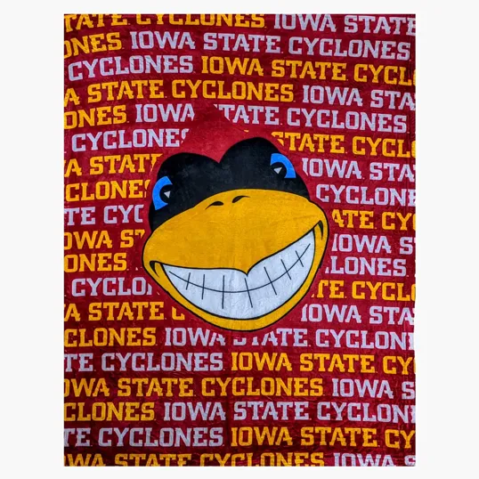 60" x 80" Polyester Blanket