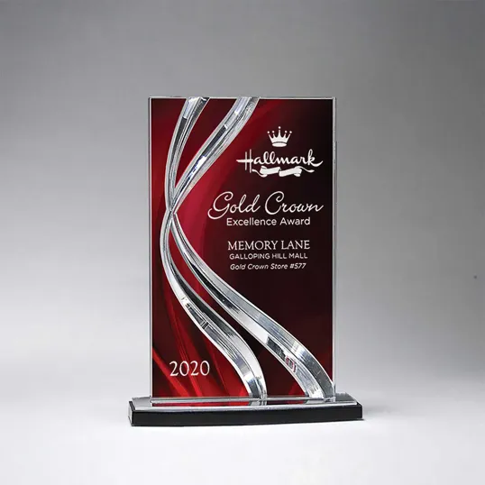 Medium Ribbon Award in Lucite Acrylic