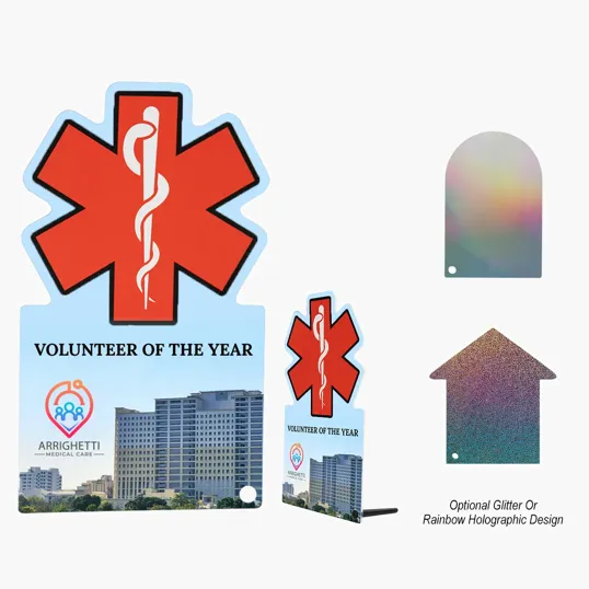Custom Shape Acrylic Award, 5 Inch