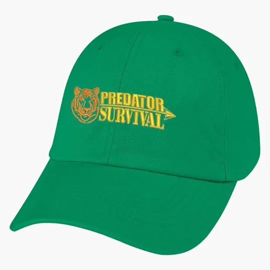 Washed Cotton Cap — view 2