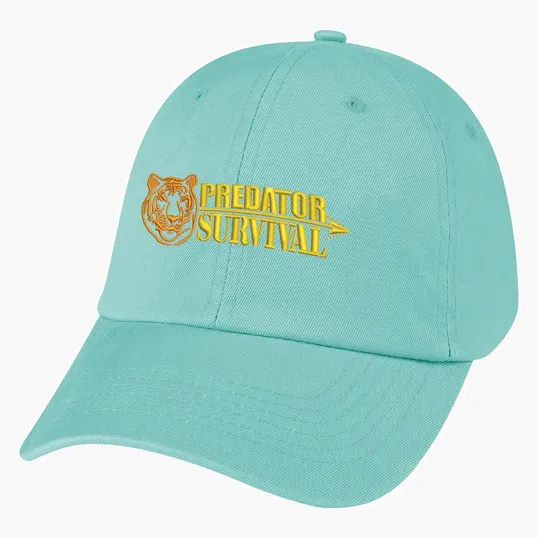 Washed Cotton Cap — view 7
