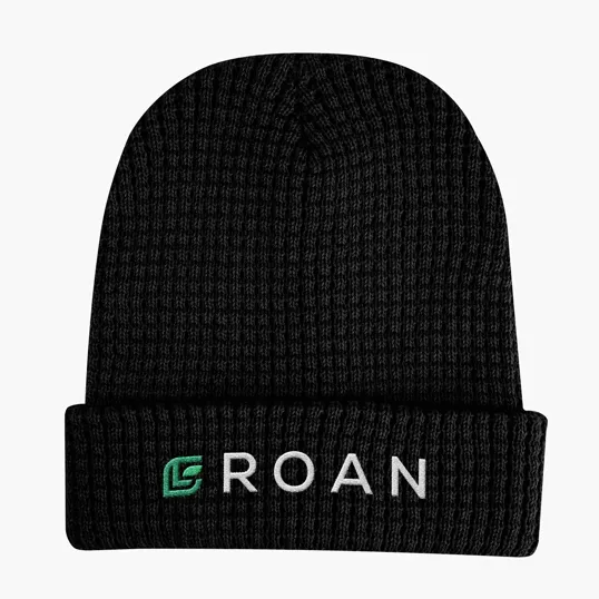 Whistler Waffle Knit rPET Beanie — view 2