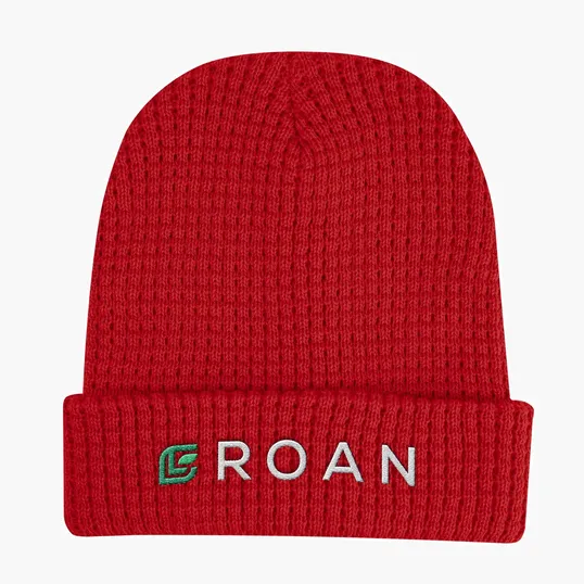 Whistler Waffle Knit rPET Beanie — view 8