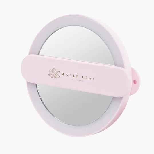 LED Mirror With Swivel Handle