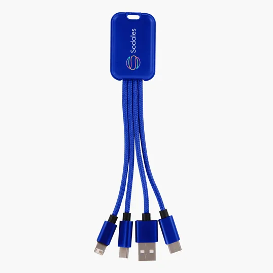 4-In-1 Charging Buddy
