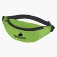 Image for Budget Fanny Pack-9