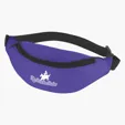 Image for Budget Fanny Pack-11