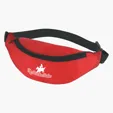 Image for Budget Fanny Pack-12
