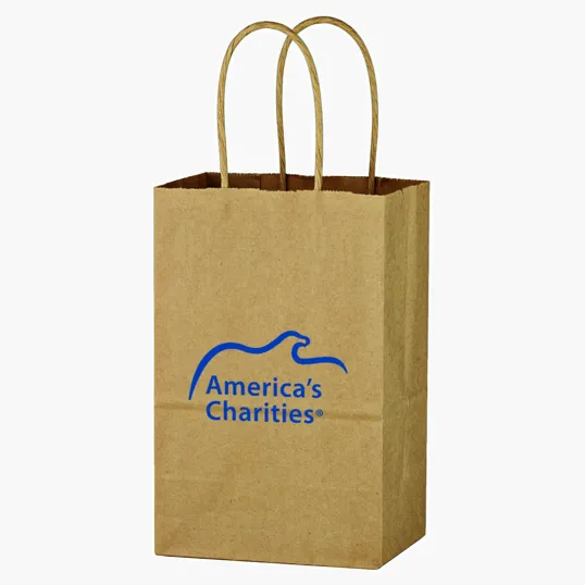 Kraft Paper Brown Shopping Bag with Twisted-Paper Handles