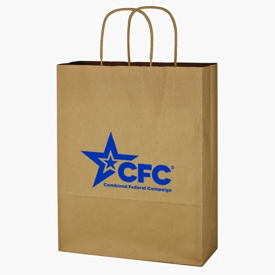 Kraft Paper Shopping Bag, 10" x 13"