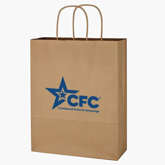 Kraft Paper Shopping Bag, 10" x 13" — view 2