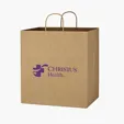 Kraft Paper Brown Shopping Bag, 14" x 15" — view 2