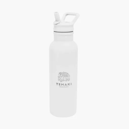 Hailey Recycled Stainless Steel Bottle, 17 oz. — view 17