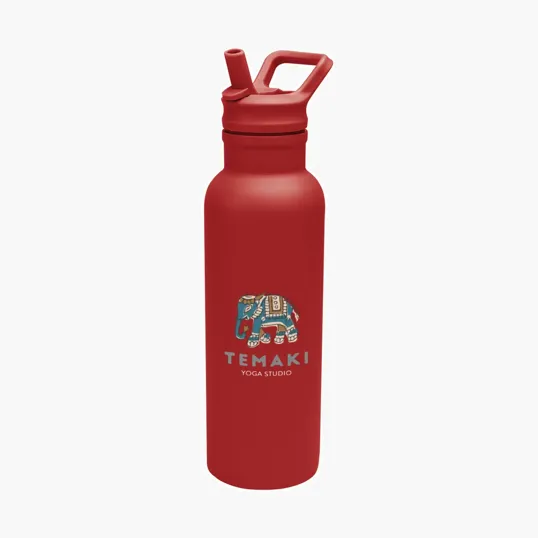 Hailey Recycled Stainless Steel Bottle, 17 oz. — view 14