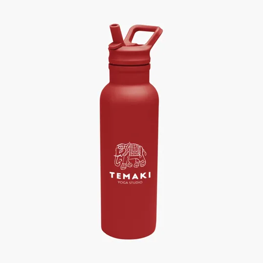 Hailey Recycled Stainless Steel Bottle, 17 oz. — view 19