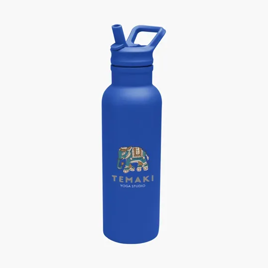Hailey Recycled Stainless Steel Bottle, 17 oz. — view 12