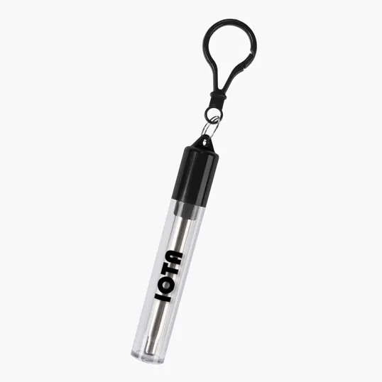 Collapsible Stainless Steel Straw Kit — view 2