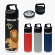 Davenport 18 oz. Stainless Steel Bottle