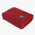 Chenille Blanket, 62" x 48" Plush Polyester — view 5
