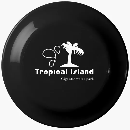 Large Discus Flying Disc — view 2