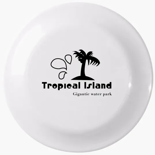 Large Discus Flying Disc — view 6