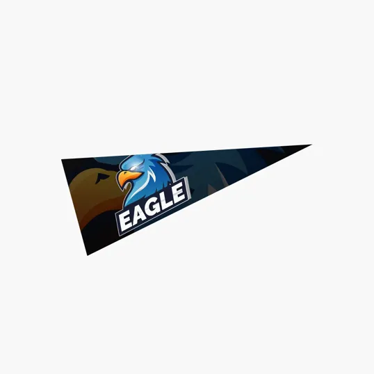 Felt Pennant, 5" x 12"