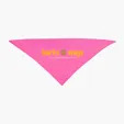 Small Triangle rPET Pet Bandana — view 4