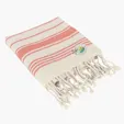 Bungalow Woven Cotton Beach Towel with Tassels — view 5