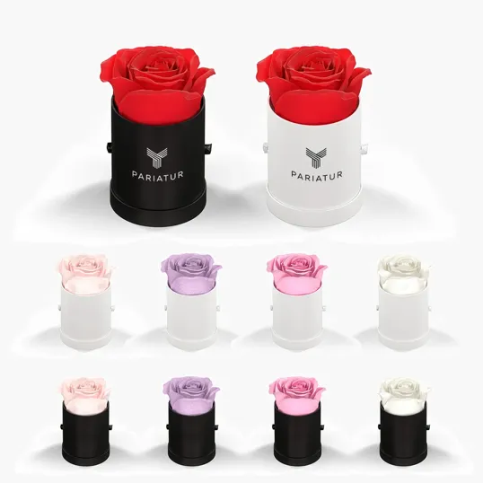 Classique by VeF Le Mini™ Round Eternity® Rose Hat Box — view 9